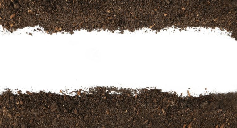 Rendons à la terre ce qu''elle nous a donné